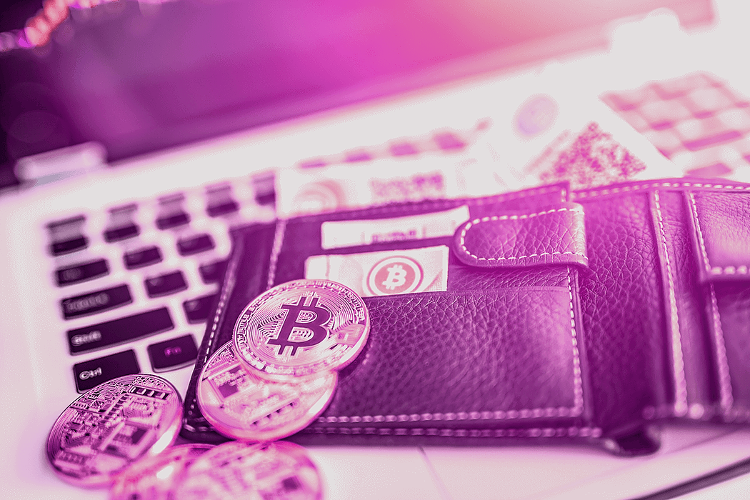 Top Best Cryptocurrency Wallets for Your Crypto Ventures